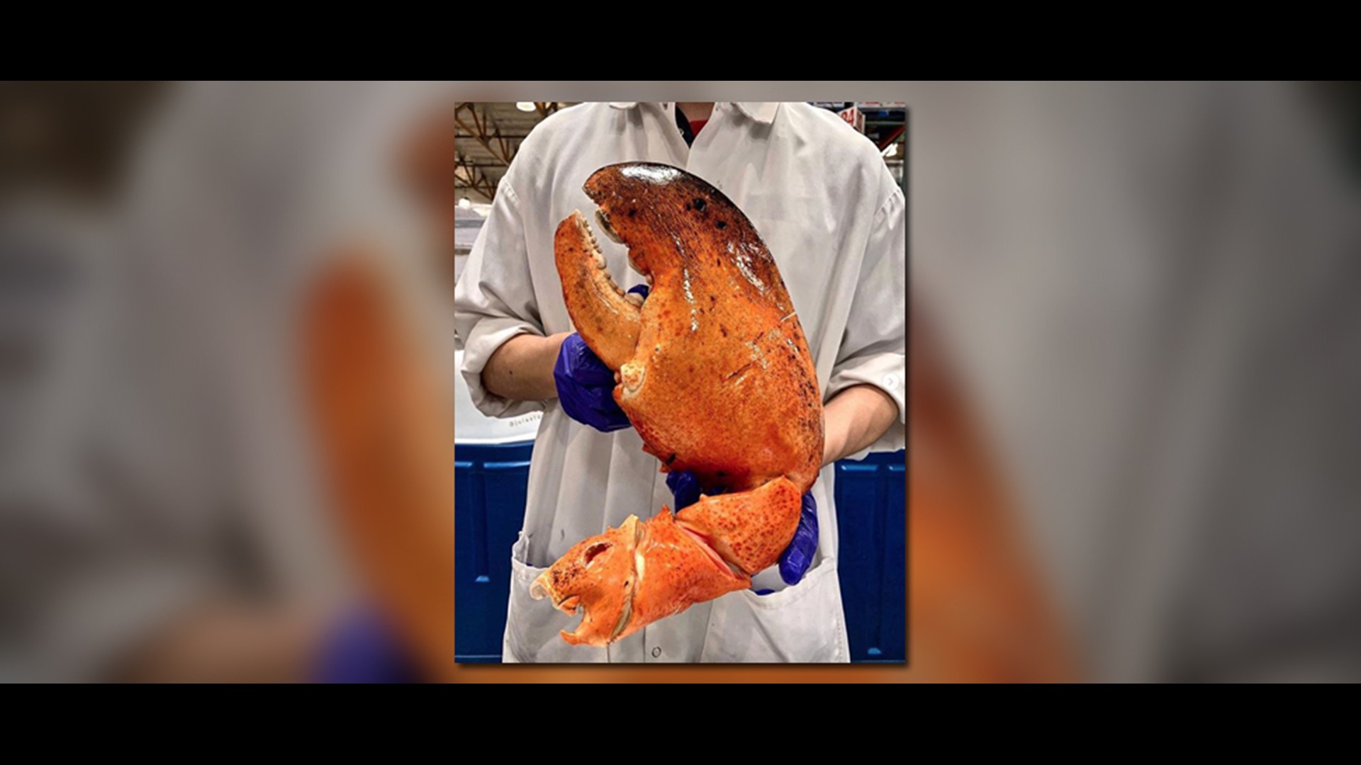 Costco Is Selling Huge Lobster Claws Wthr