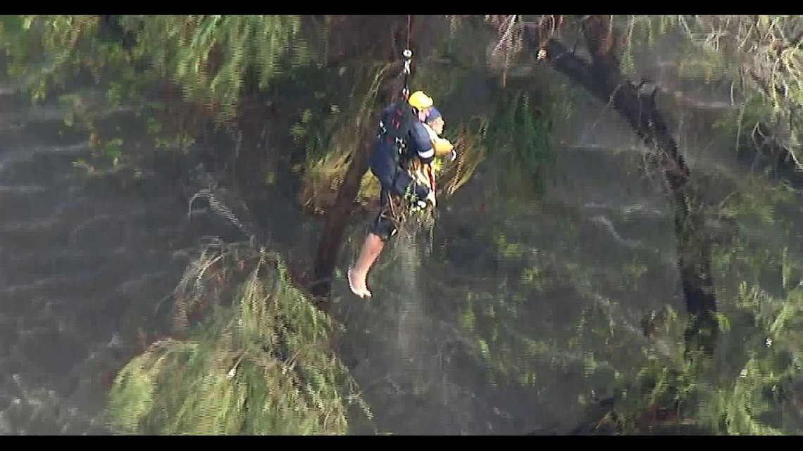 WATCH Dramatic Rescue Of Man Clinging To Tree In Rain Swollen River