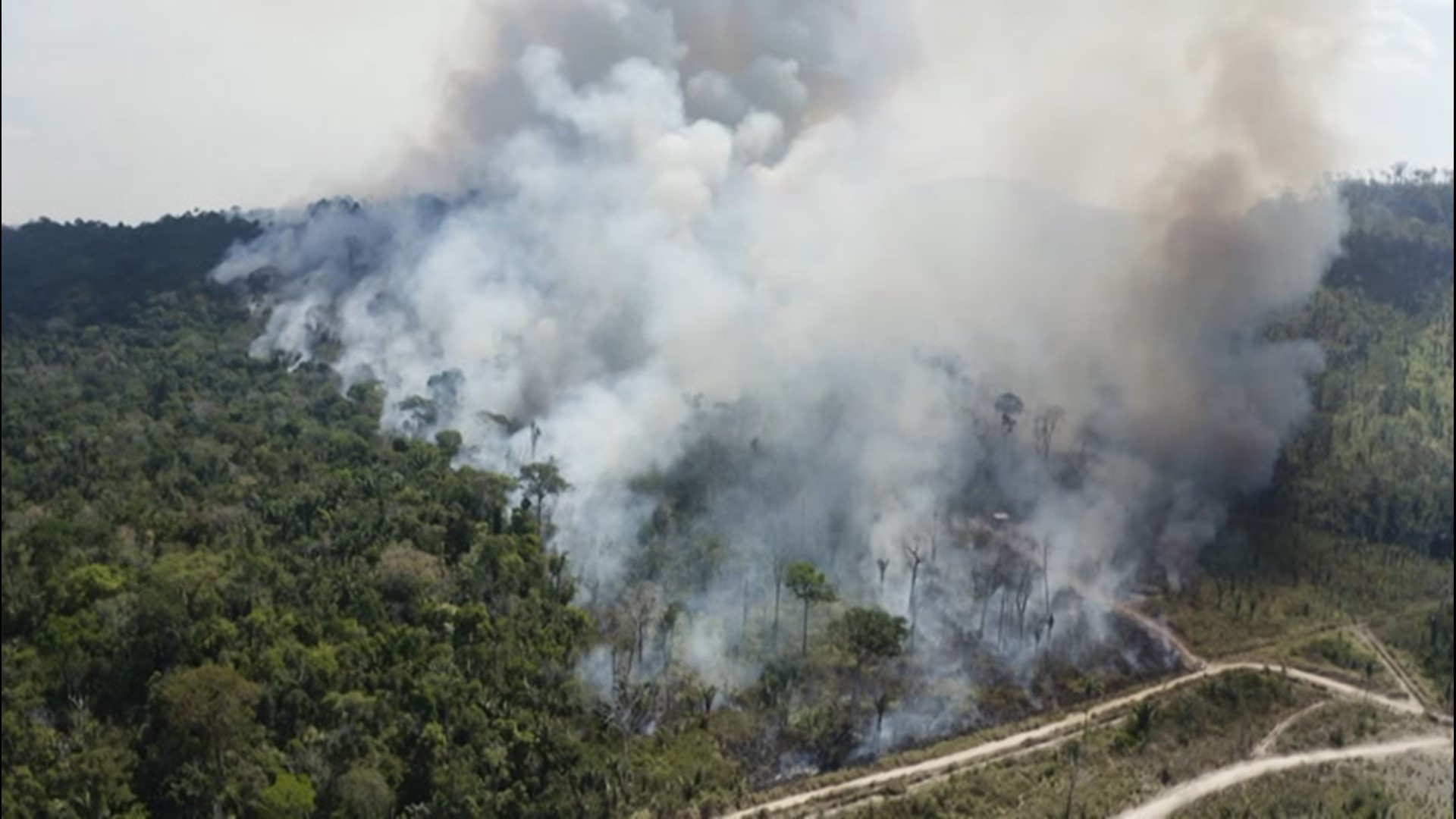 There were more Brazilian wildfires in 2020 than any year in the last decade, with 2020 seeing a 12.7% increase in fire activity.