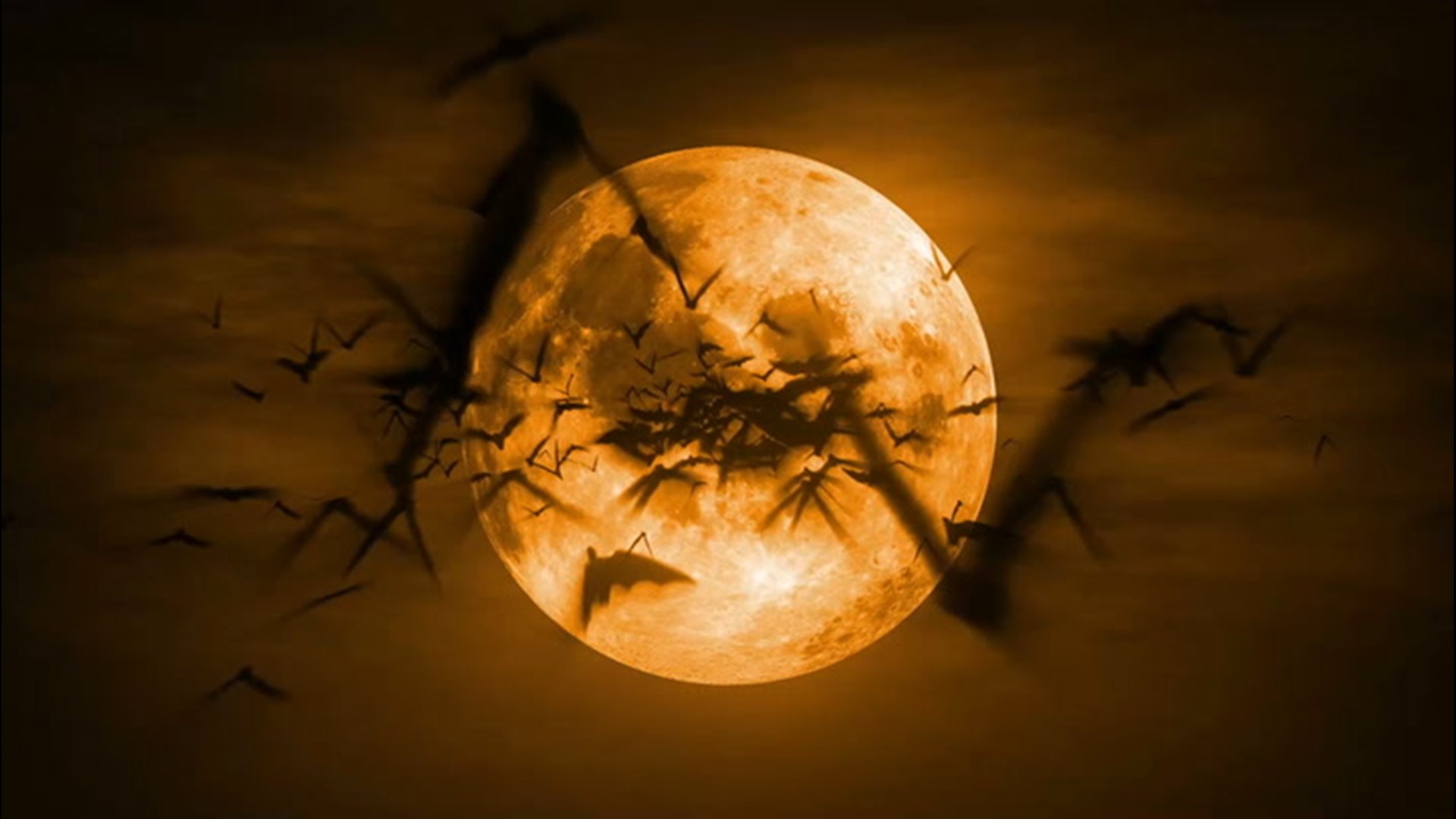 A rare full moon will rise for this year's Halloween giving trick-or-treaters an extra treat for the holiday. The Halloween full moon is also a blue moon.