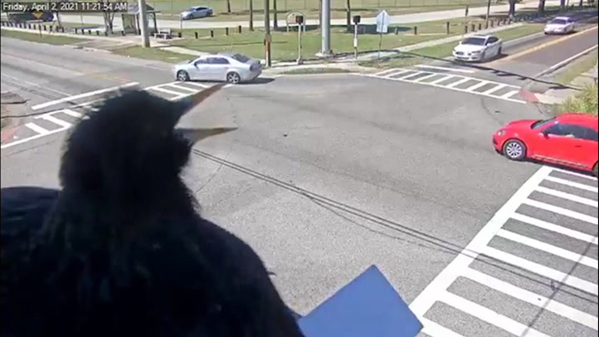 This security camera gives a literal bird's-eye view of traffic in Hillsborough, Florida, on April 2. A bird perched right next to the camera is observing the world go by.