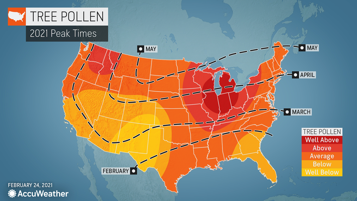 When Will Allergy Season Peak In 2021 An Allergy Forecast 9779