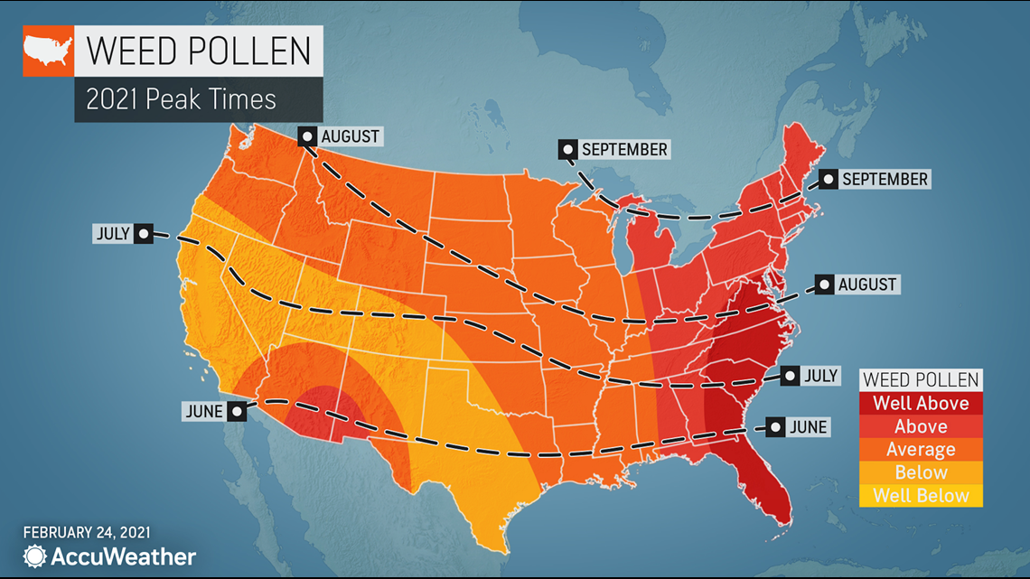 When Will Allergy Season Peak In 2021 An Allergy Forecast 7786