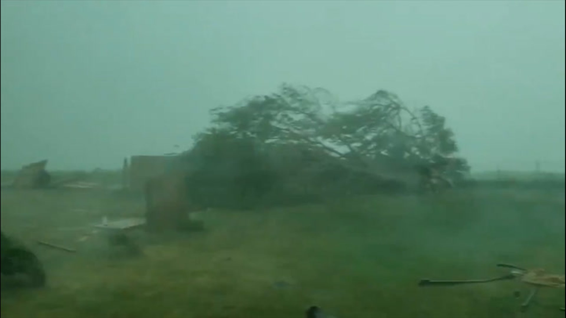 Mike Graber filmed trees getting knocked over by violent winds in Cedar Rapids, Iowa on August 10, after a strong derecho moved through.