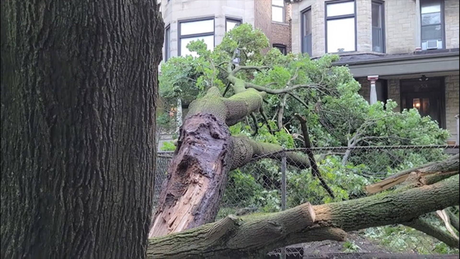 Residents in Chicago, Illinois, were cleaning up debris on Aug. 11, after storms swept through the area on the 10th.