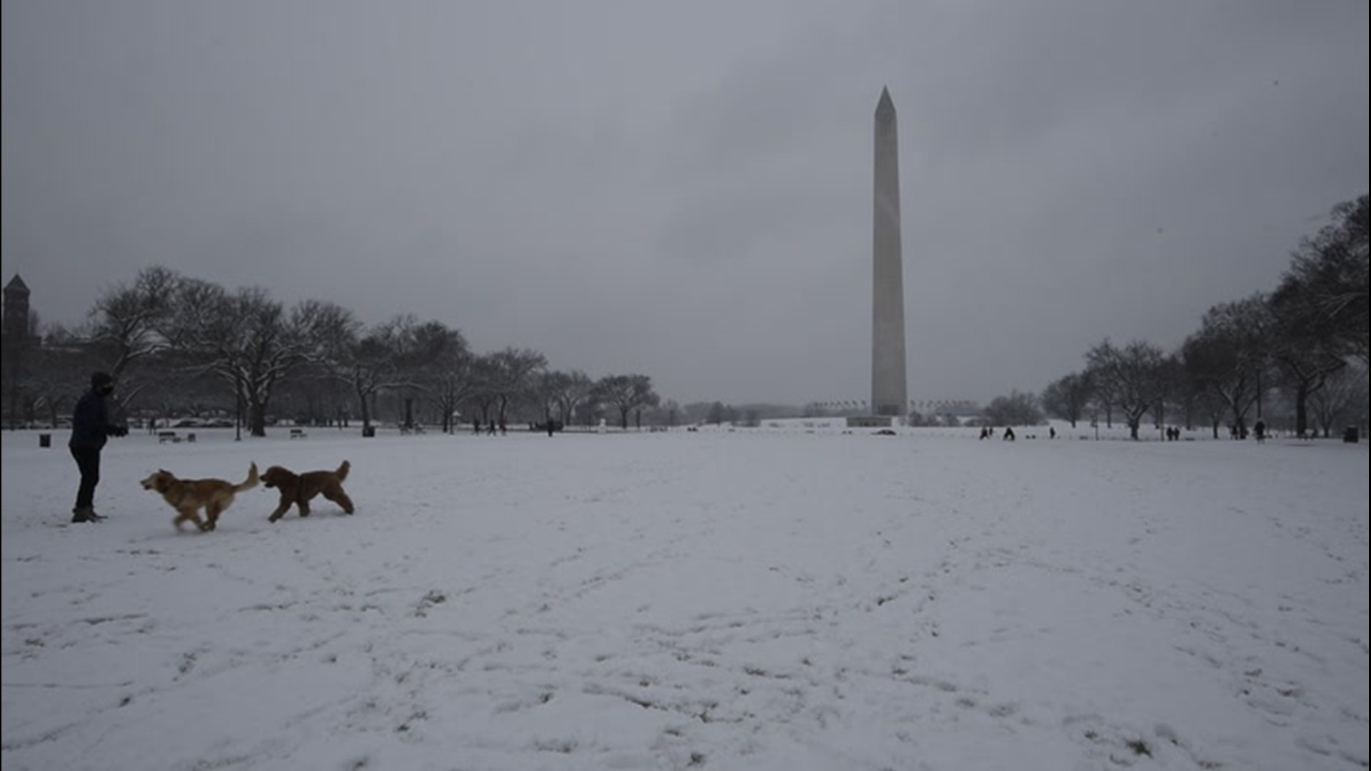 Take a look at some of the most iconic attractions in Washington D.C., after snow blanketed the city on Jan. 31.