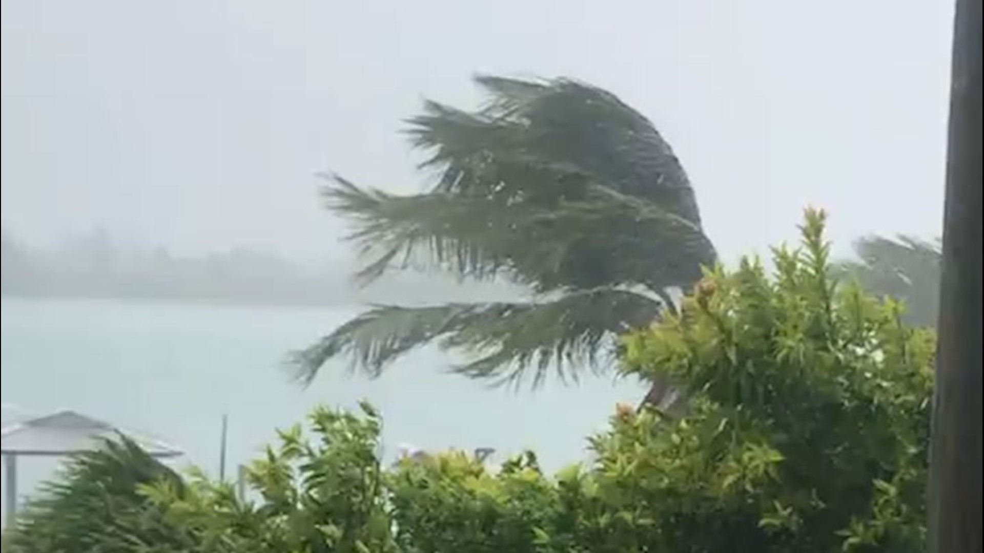 Isaias whipped through the Bahamas on Aug. 1, with fierce winds and heavy rainfall. In this video in Andros, trees are seen bending to the force of the winds.
