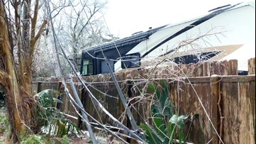 Ice storm blasts Louisiana with severe damage