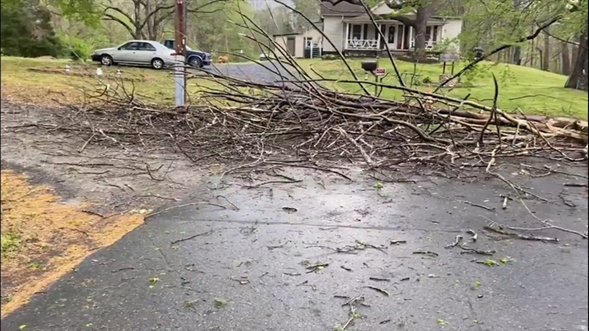 A storm rolled through Eden, North Carolina, on April 8, leaving fallen foliage in its path.