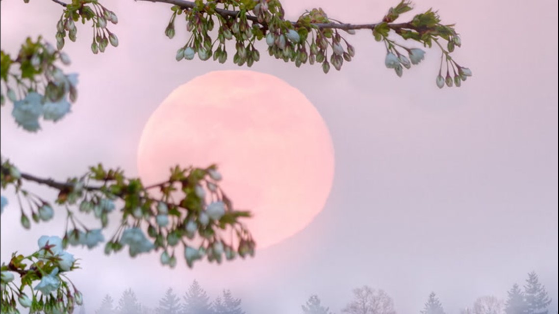 Download Catch the Super 'Pink' Moon on April 26 | wqad.com