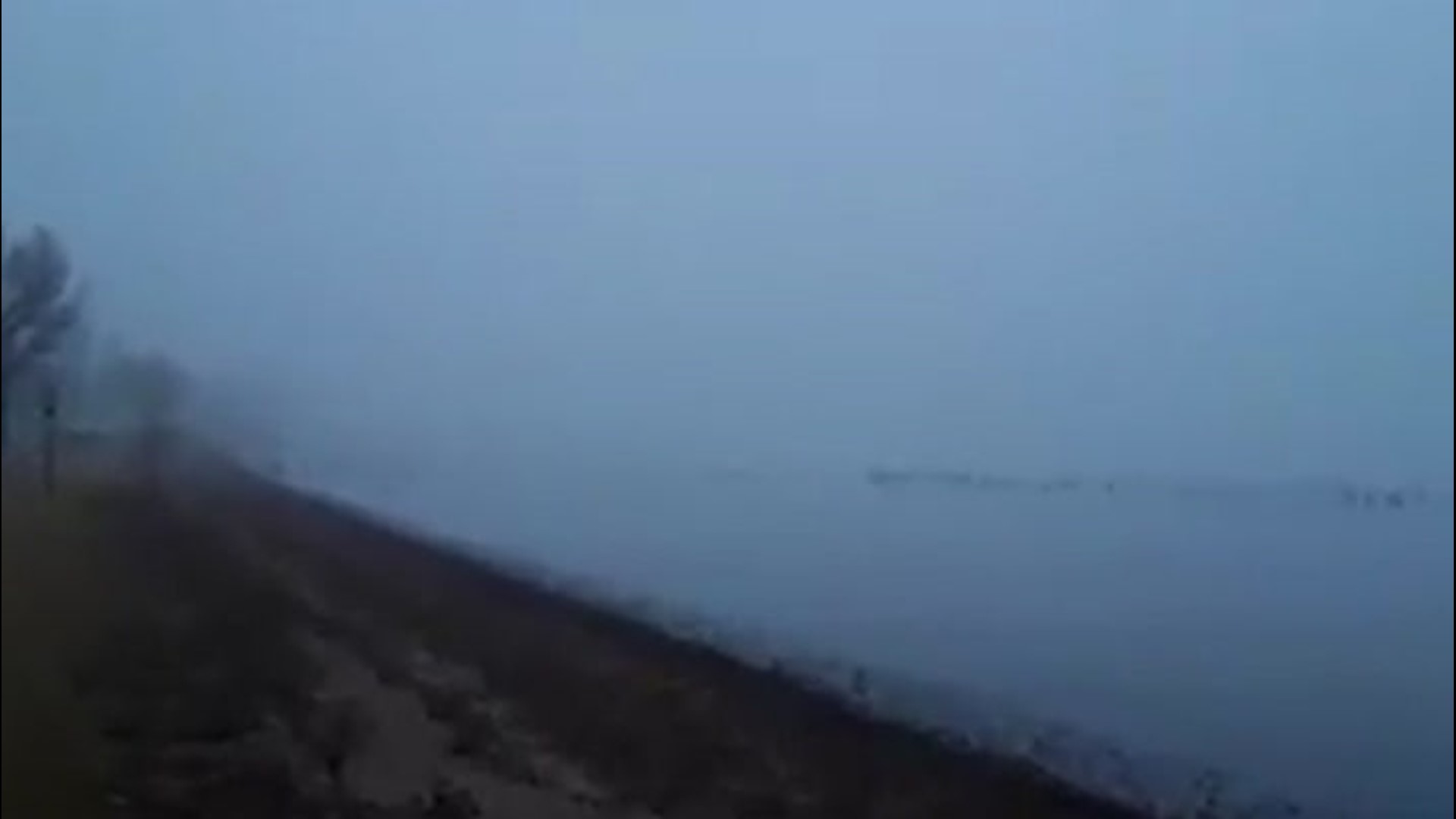 A large flock of geese floated on Lake Ripley in Litchfield, Minnesota, in thick fog on Nov. 24, the week of Thanksgiving.