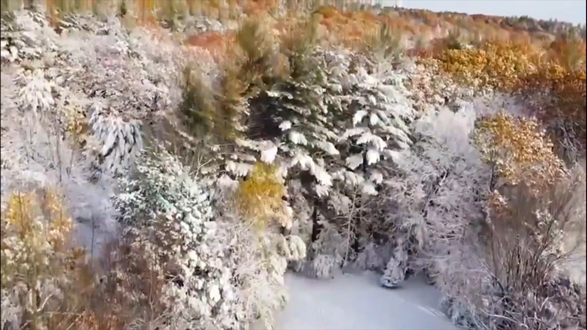 Snow topped the trees in Fitchburg, Massachusetts, one cold Friday afternoon on Oct. 30.