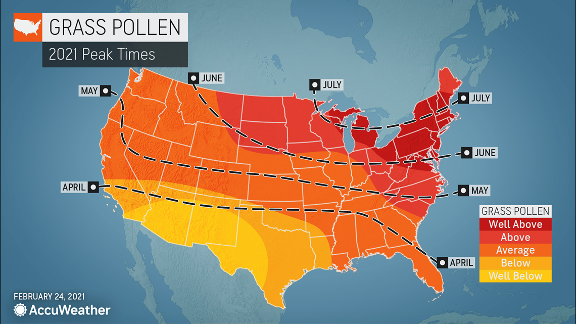 When will allergy season peak in 2021? An allergy forecast