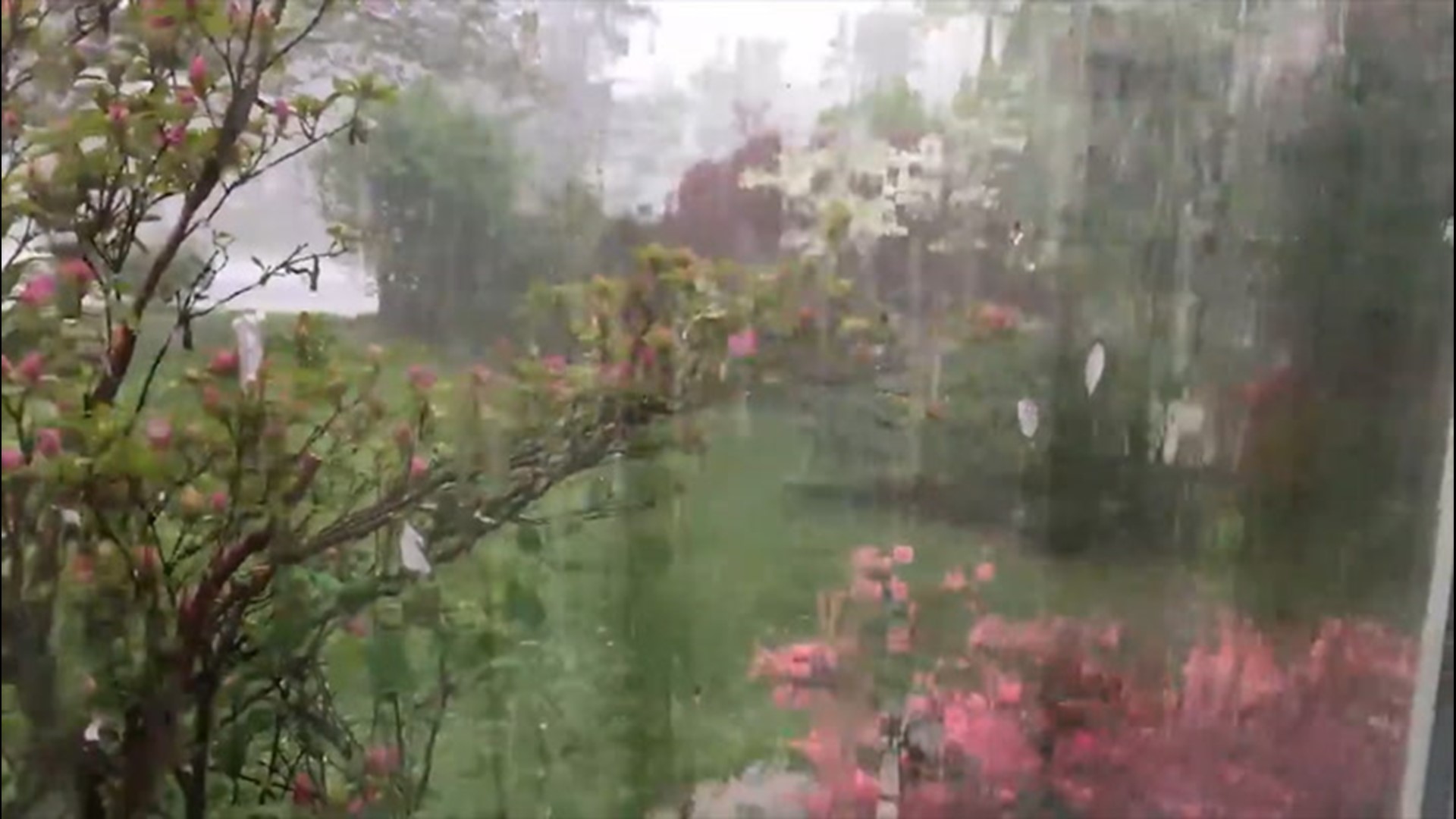 Heavy downpours with small hail moved through Roanoke, Virginia, Wednesday afternoon, April 8.