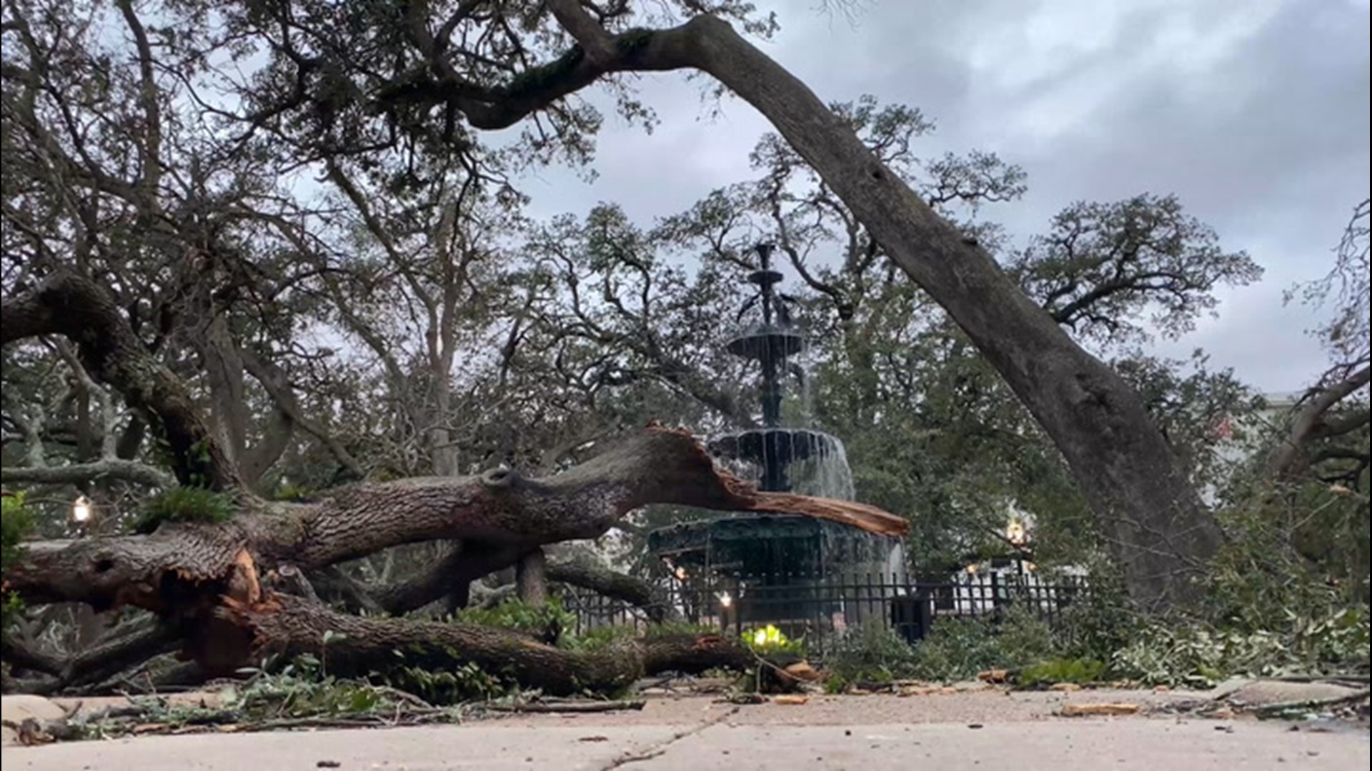 Residents of Mobile, Alabama, expressed heartbreak after Hurricane Sally left many oak trees at historic Bienville Square torn from the roots on Sept. 17.