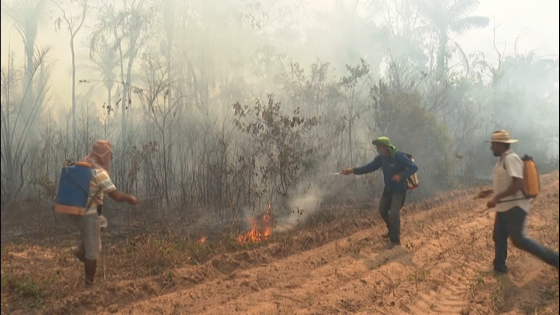 Locals in Sinop, Brazil, raced to battle a wildfire raging in the Amazon rainforest on Aug. 10. Wildfires are up in the region this summer, causing concern.