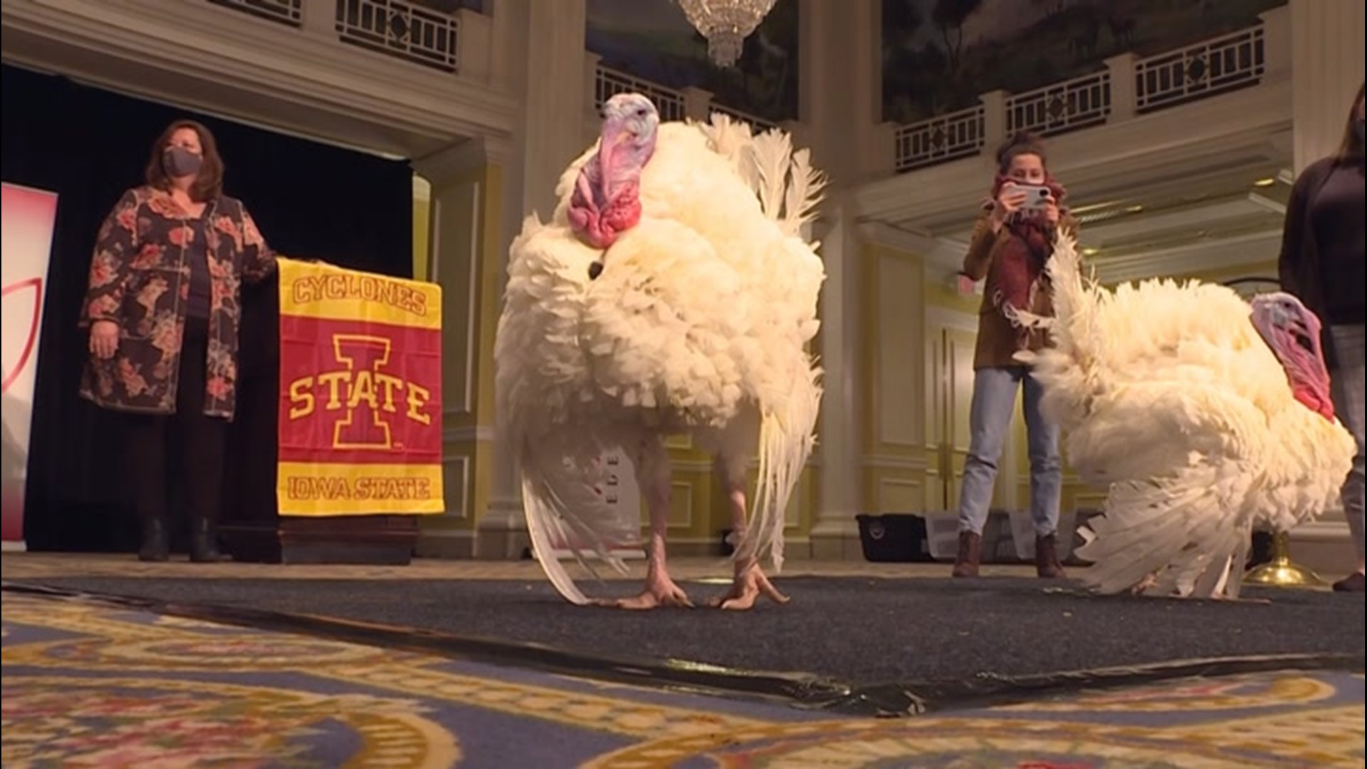 Two turkey's, Corn and Cob, made their debut in Washington, D.C. on Nov. 23, ahead of their presidential pardon on Nov. 24. Only one turkey will be pardoned, but both will go on to live the remainder of their lives at Iowa State University.