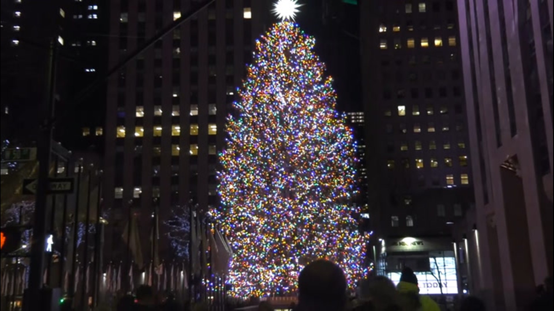 Safely Viewing The Rockefeller Christmas Tree Weareiowa Com