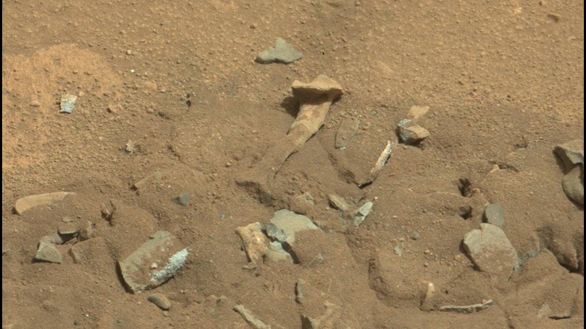 Sorry, conspiracy theorists! Unfortunately, it's not a sign of alien life on Mars.