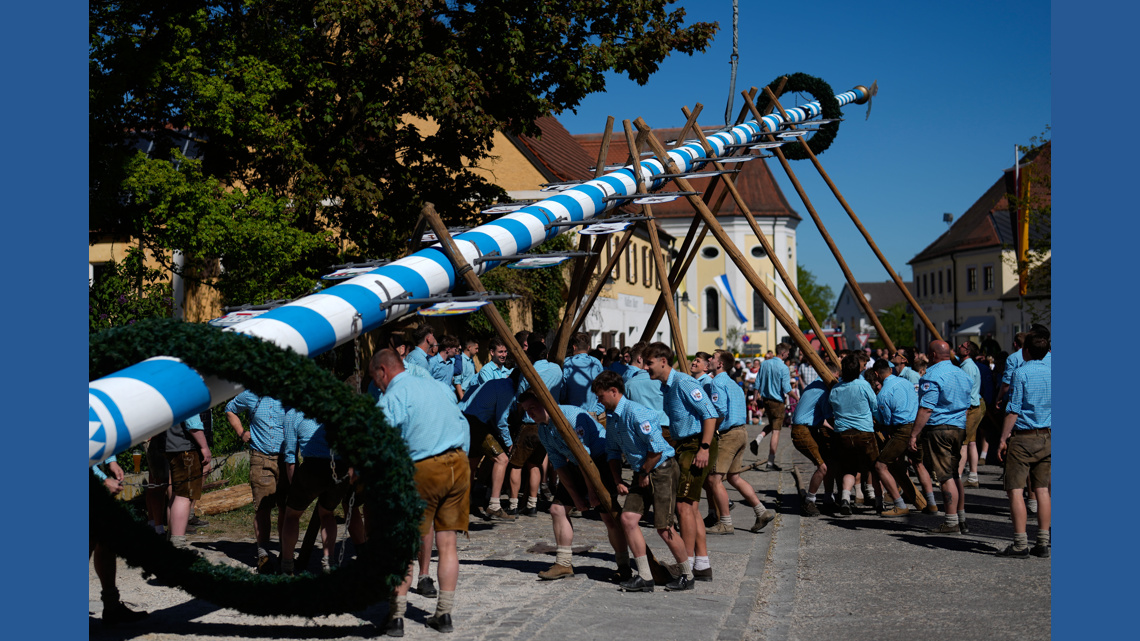 Hau Ruck Beer, music and shouts of 'Hau-Ruck' as a Bavarian village raises its ...