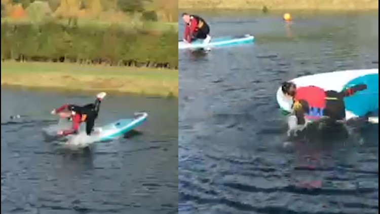 Quite Literally! This Couple Fall For Each Other  on Paddleboards