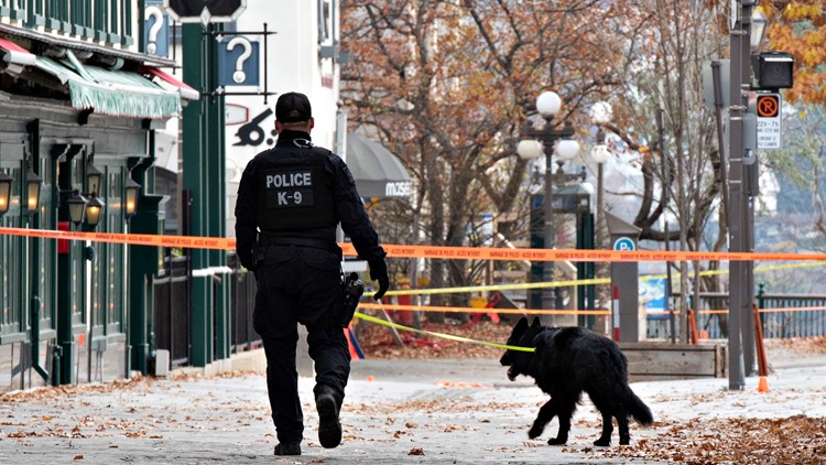 Sword-wielding 24-year-old man arrested after Halloween deaths in Canada