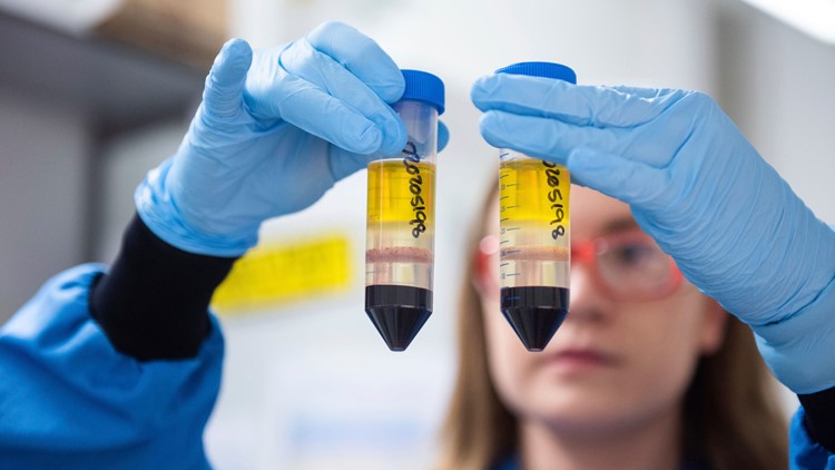 VERIFY: AstraZeneca COVID-19 vaccine does not use fetal cells