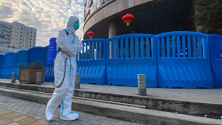 1 report, 4 theories: Where did COVID-19 come from?