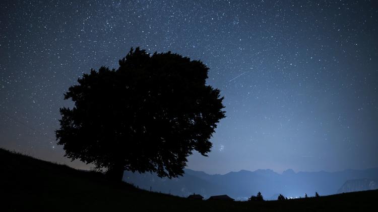 How to spot the Perseid meteor shower, a summer light show that promises to dazzle