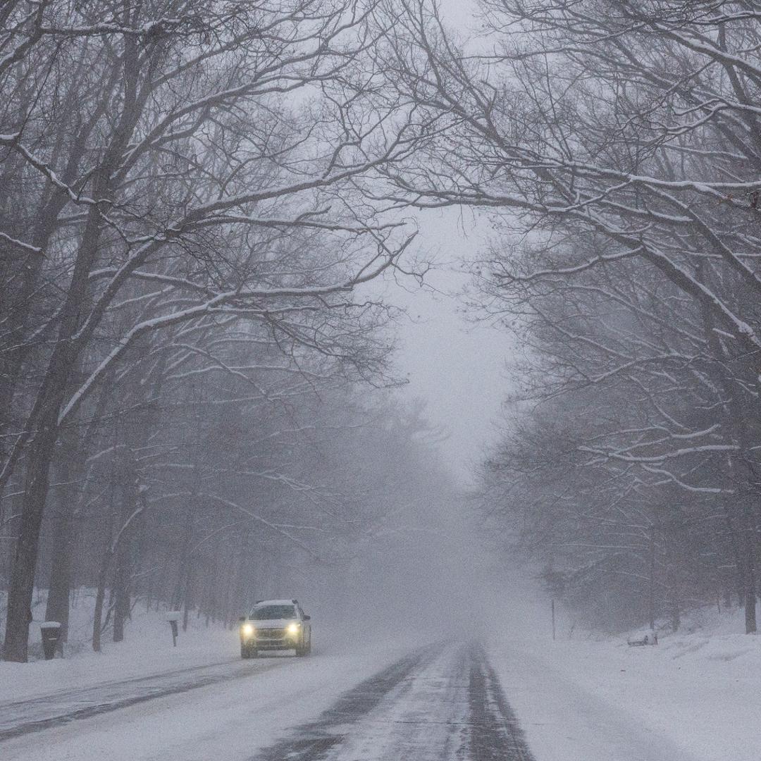 Chicago Trees Exploding Can trees 'explode' during winter weather? | 10tv.com