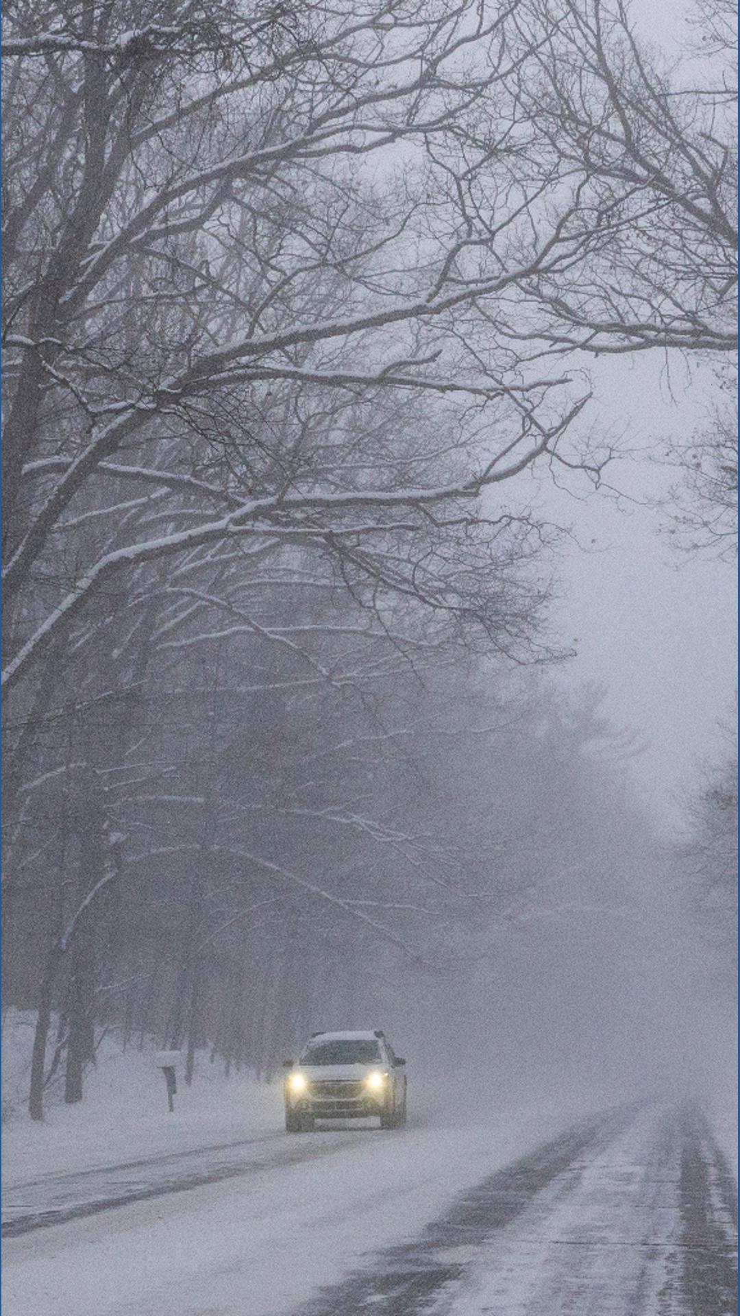 Can trees 'explode' during winter weather? | 10tv.com