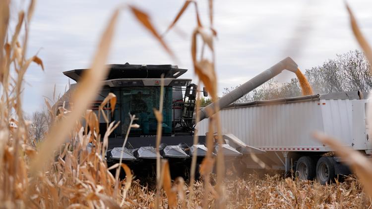 'Bear with me,' Trump says as both farmers and consumers brace for tariff effects