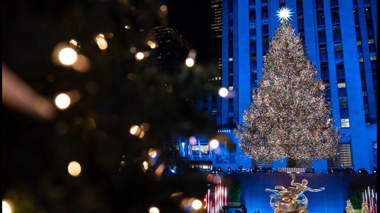 Rockefeller Center’s 2026 Christmas tree has been chosen. Here’s what to know