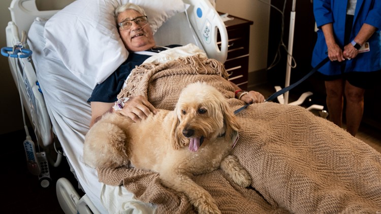 Nic the dog cheers up patients in Nashville hospital