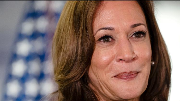 Democrats plan to push ahead with virtual roll call ahead of their convention, with Harris favored