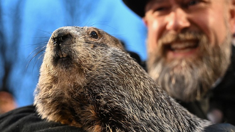 Groundhog Day: Will Punxsutawney Phil see his shadow?