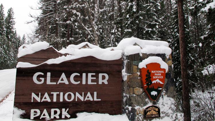 Missing hiker found dead, likely from first fatal bear attack at Glacier National Park in 28 years
