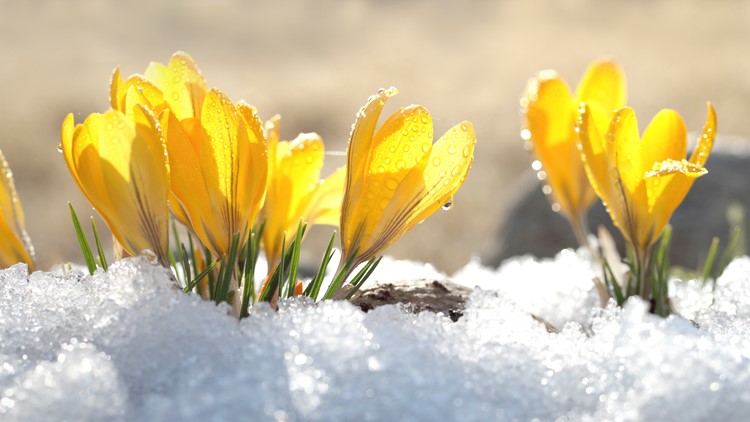 When is the 2022 spring equinox and what does it mean?