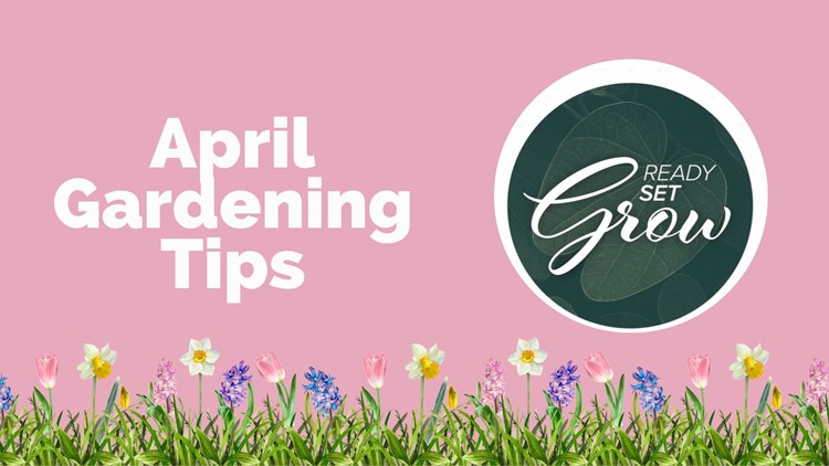 Ready, Set, Grow | April Gardening Tips