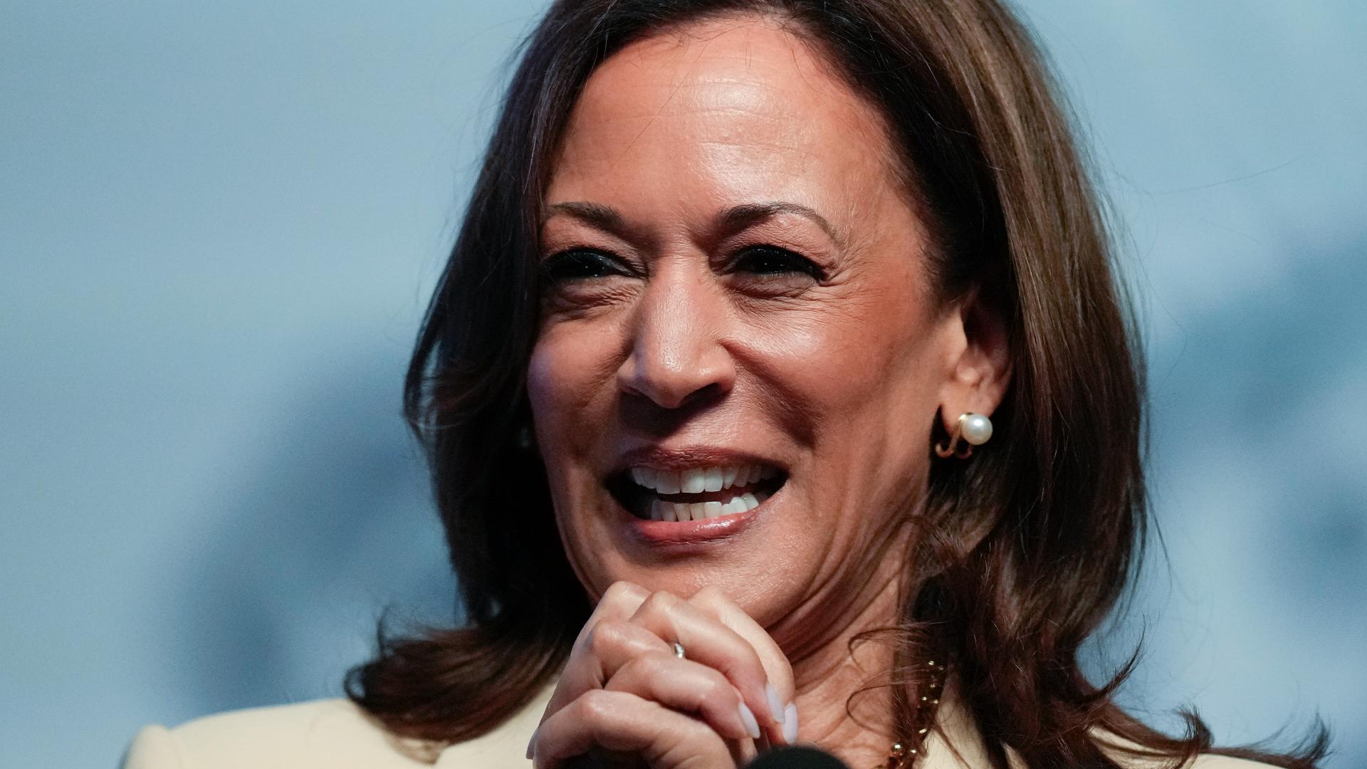 DNC virtual roll call to nominate Kamala Harris How it works