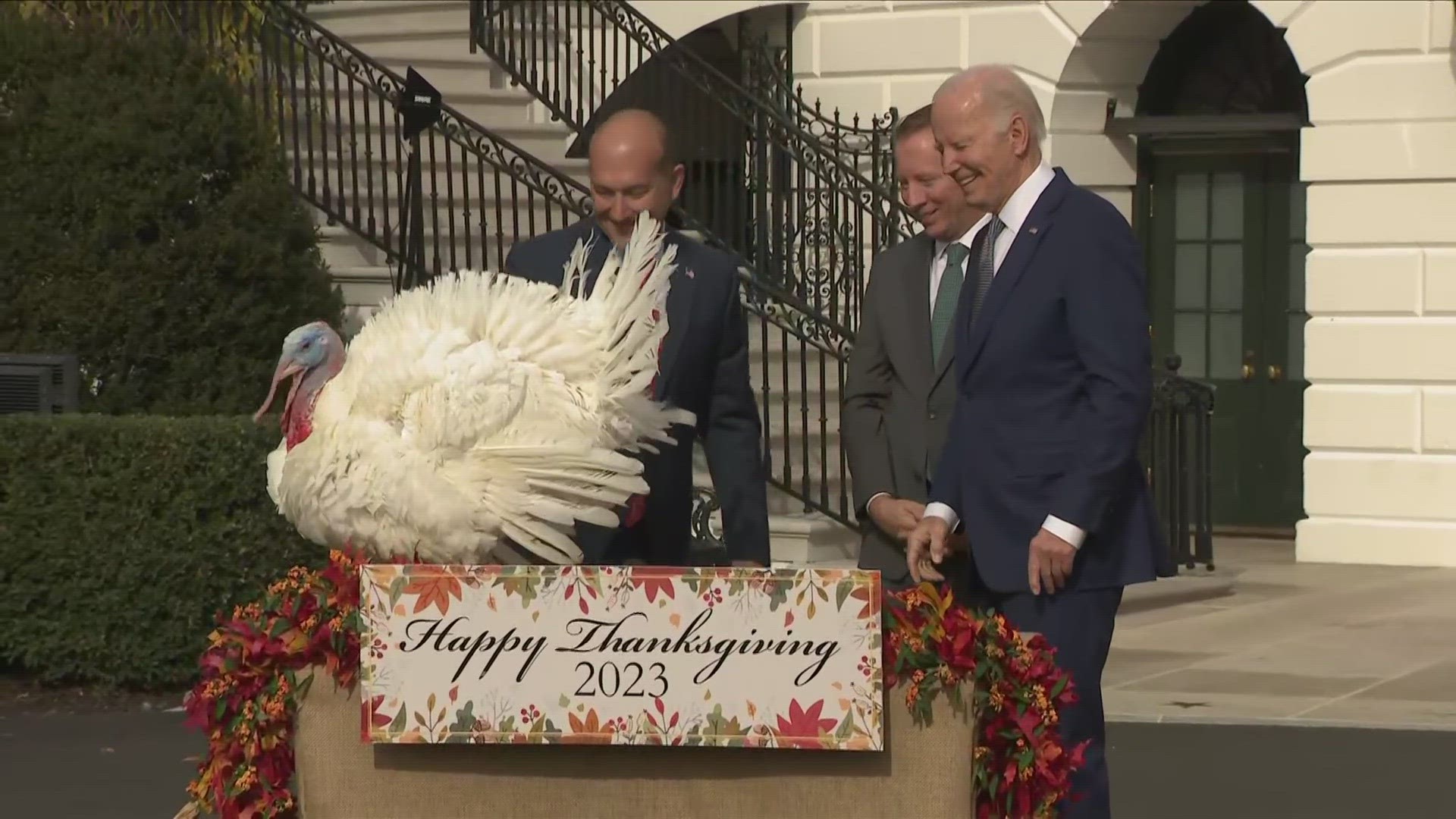 White House turkey pardon 2023 Liberty, Bell ready for pardons