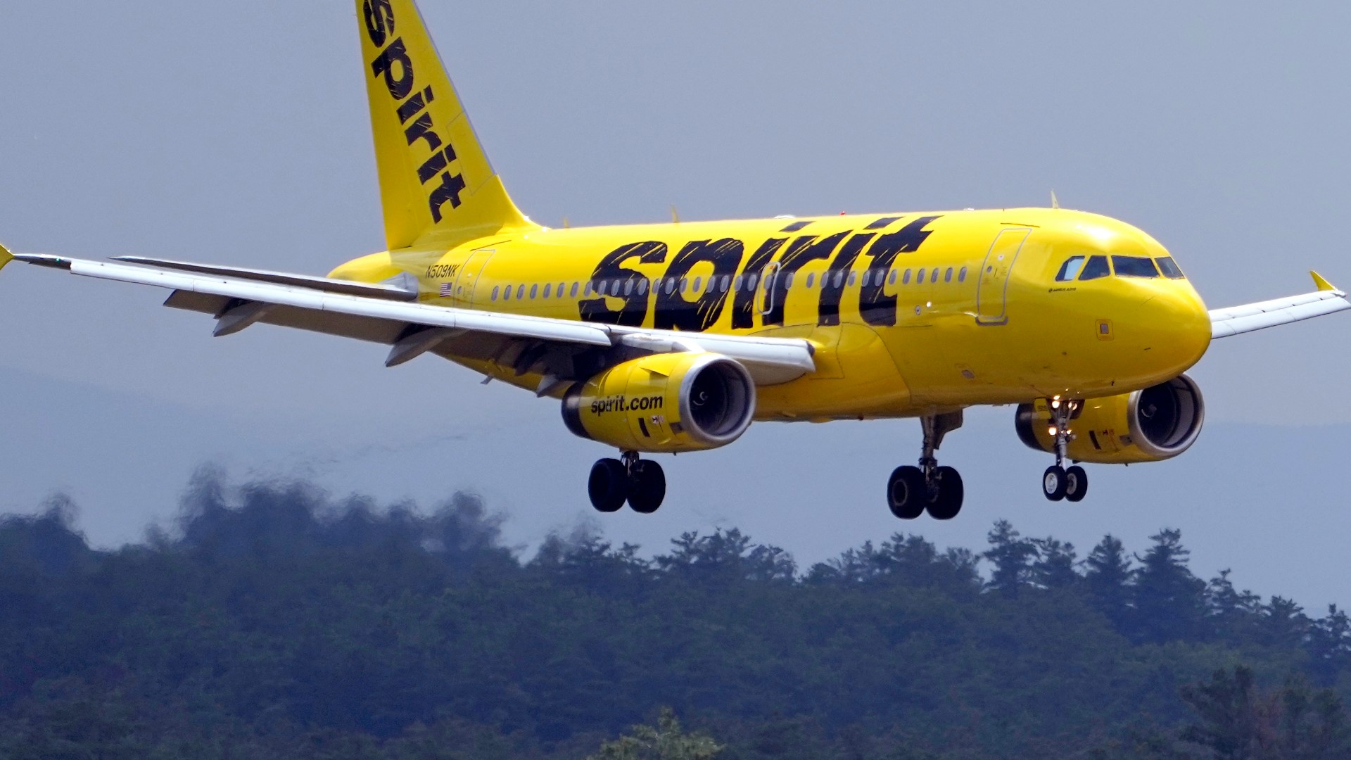 The biggest U.S. budget airline has filed for bankruptcy protection.