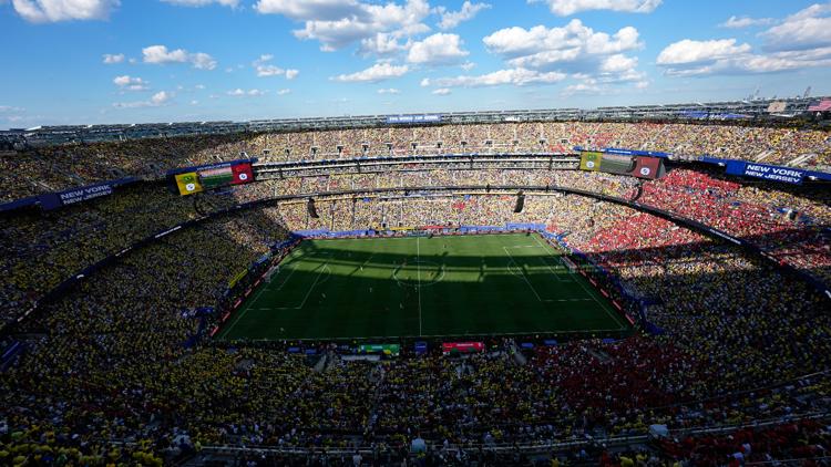 You can own a piece of the field from the World Cup final. Here's how much it'll cost