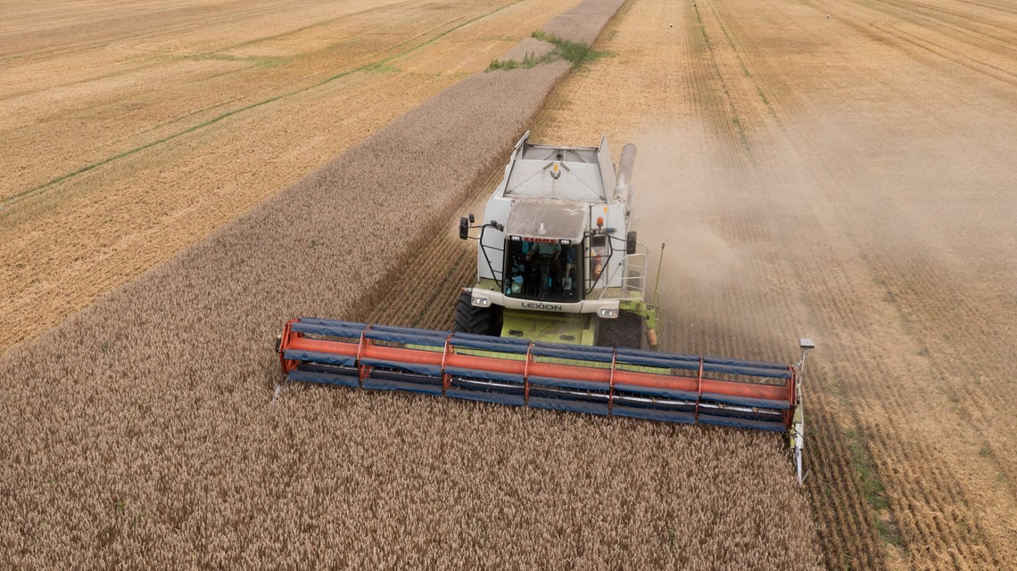 Russia risks isolation by pulling out of grain deal with Ukraine - Vimarsana News