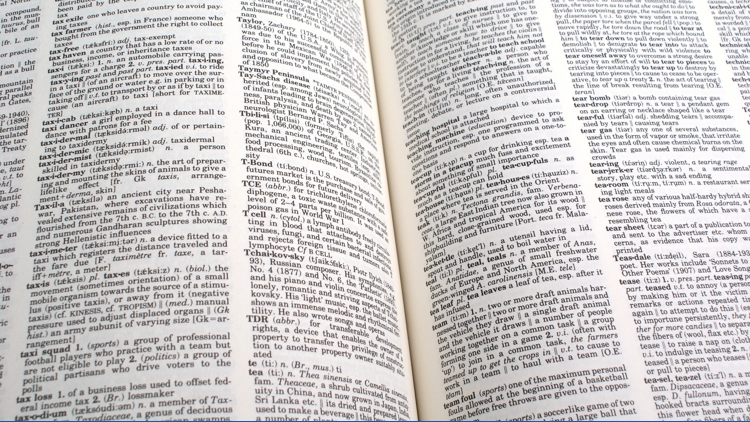 Dictionary.com reveals its 2026 Word of the Year