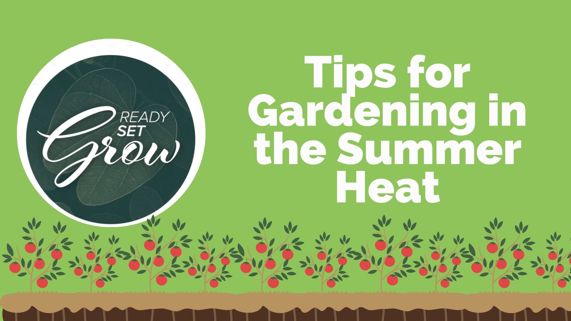 Tips for how to keep your plants thriving in the summer heat. From what seeds you can plant now to best watering practices. Plus, ways you can prepare for fall.