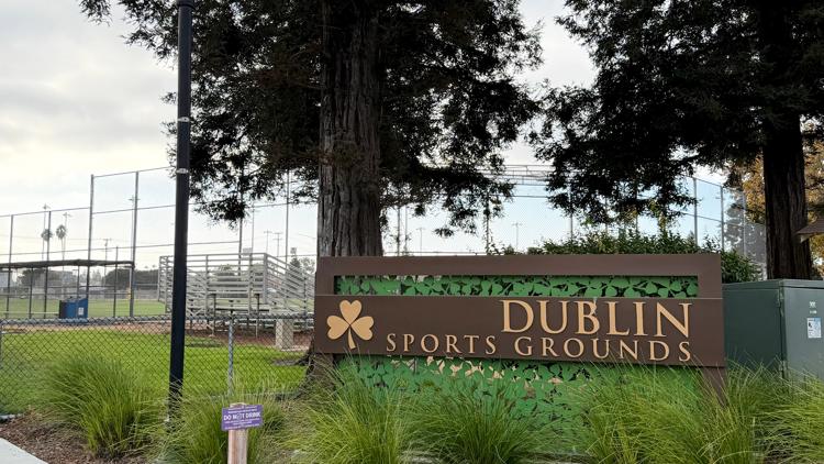In-laws accused of killing NYT exec in public park charged with murder
