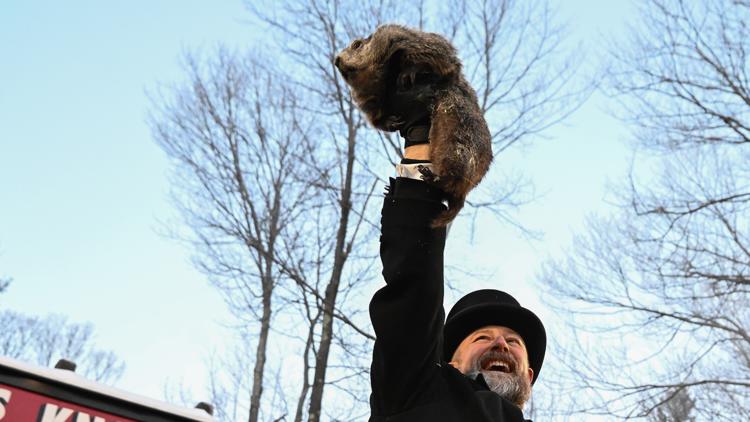 Groundhog Club handler A.J. Dereume holds Punxsutawney Phil, the weather prognosticating groundhog, during the 140th celebration of Groundhog Day.