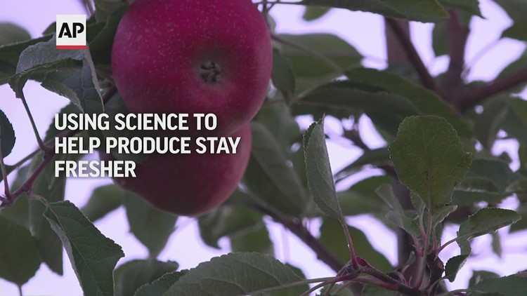 Science v. Waste: The quest for fresher produce