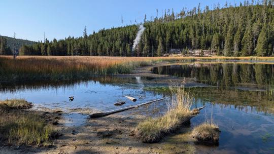 Texas man gets jail time for walking in Yellowstone thermal area ...